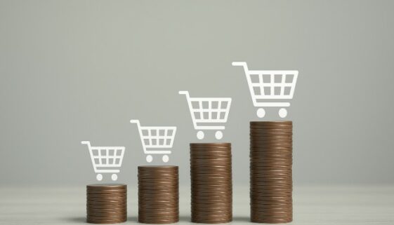 pouvoir achat français